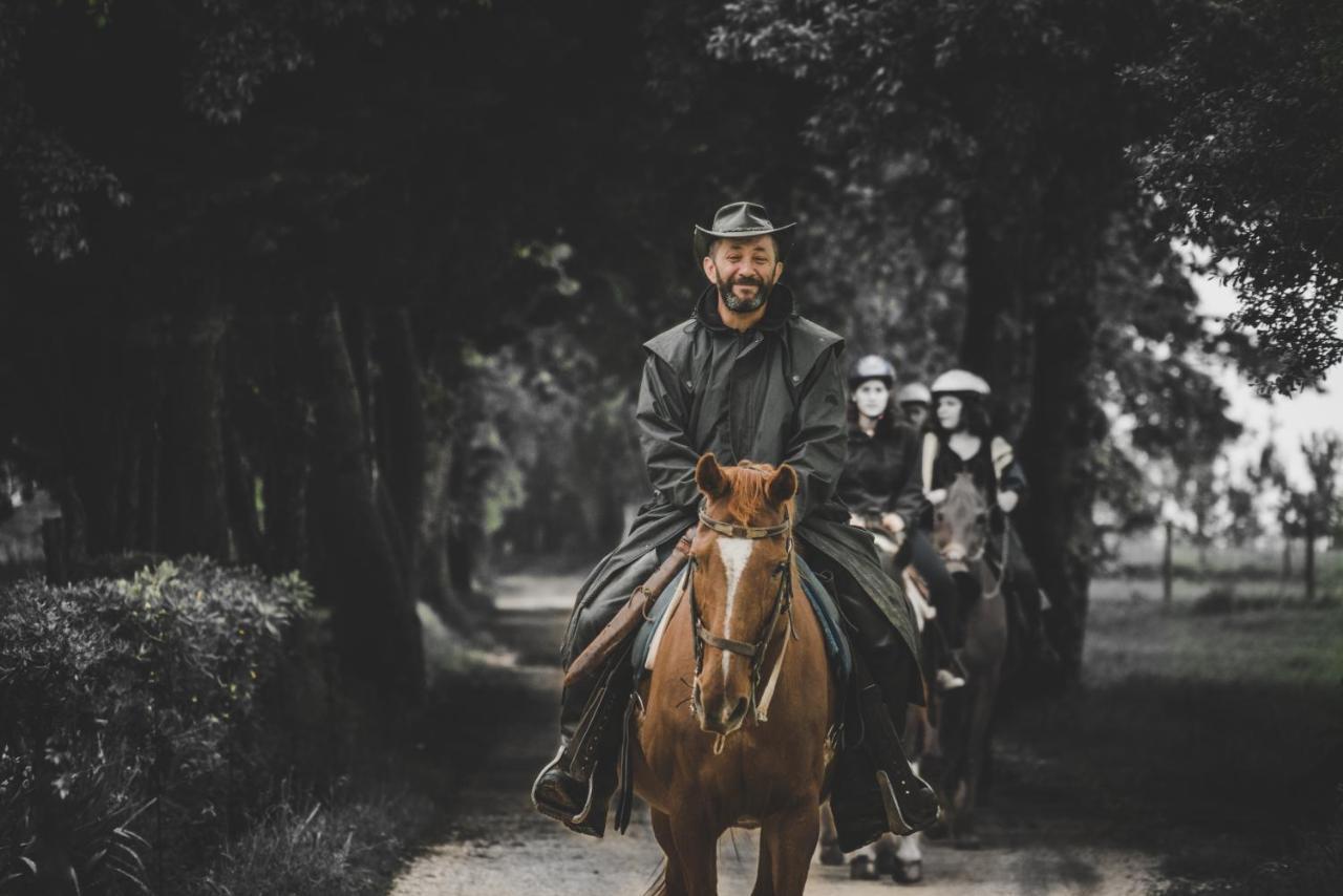 Glamping In Toscana, Luxury Tents In Agriturismo Biologico Sorano  Kültér fotó